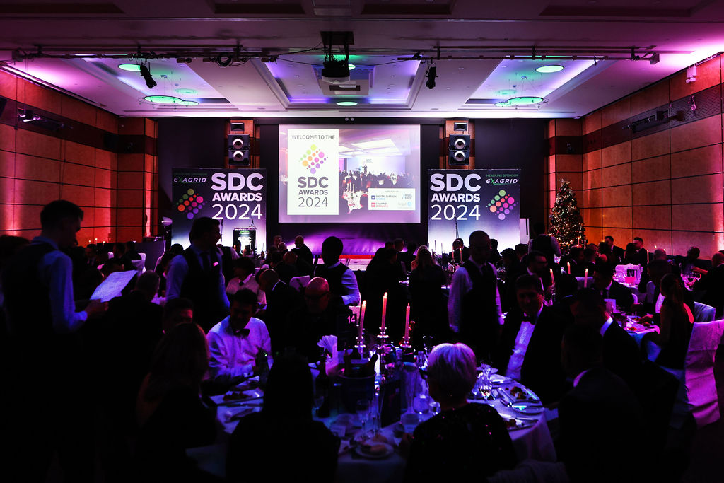 SDC_awards_2024.jpg